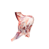 Lamb Shoulder