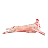 Whole Lamb