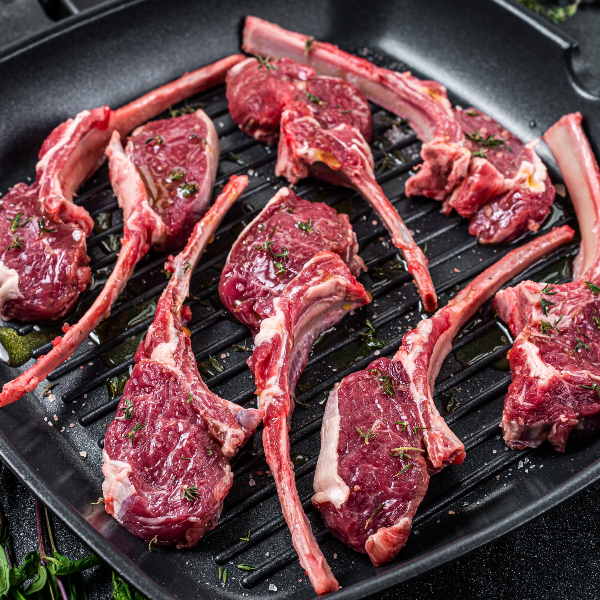 Lamb Rib Chops Frenched – PremYum